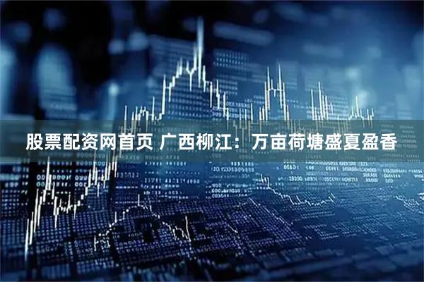 股票配资网首页 广西柳江：万亩荷塘盛夏盈香